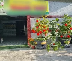 ► SIÊU PHẨM MẶT TIỀN QUỐC LỘ 63 – VỪA CÓ ĐẤT, VỪA CÓ DÒNG TIỀN KHỦNG