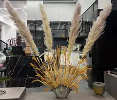 Nhà phố khu đắc địa sát ngay Quận 1