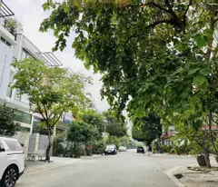 Cần bán nhà phố KDC Phú Mỹ, 126m2(6x21). Giá 23.8 tỷ.