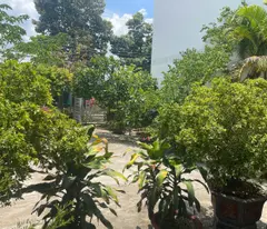 Bán Nhà mặt tiền Đinh Bộ Lĩnh -  Phước Hội - LaGi giá rẻ nhất chính chủ