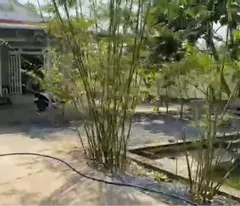 CHÍNH CHỦ CẦN BÁN BIỆT THỰ NHÀ VƯỜN - CĂN HỘ CAO CẤP Tại NGUYỄN HỮU THỌ, NHÀ BÈ
