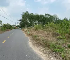 BÁN GẤP 5.000m² ĐẤT XÃ VĨNH TÂN – TÂN UYÊN, BÌNH DƯƠNG