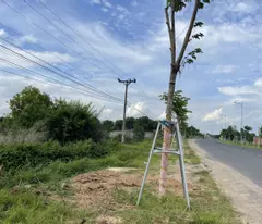 Bán 1445m2 đất view Biển Đường Hùng Vương - Tân Bình - LaGi 1245m2 ODT