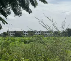 CHÍNH CHỦ BÁN ĐẤT ĐẸP ĐƯỜNG NGUYỄN VĂN CỪ – XÃ PHƯỚC AN, NHƠN TRẠCH – ĐÓN SÓNG SÂN BAY LONG THÀNH