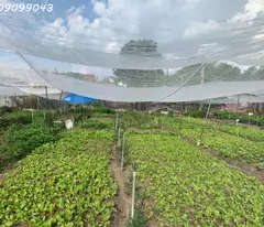 GẤP BÁN ĐẤT 1.560m² – TRẦN THỊ BỐC – GẦN NGÃ TƯ ĐẶNG THÚC VỊNH-HOC MÔN