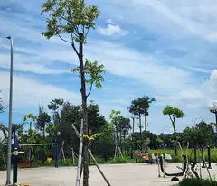 Bán đất Minh Thanh Lai Cách giá đầu tư vị trí đẹp chỉ 2ty1xx triệu siêu rẻ