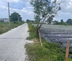 Bán 2000m2 đất phủ Hồng Hẻm Nguyễn Thông, LaGi giá ngộp 1 triệu/m2