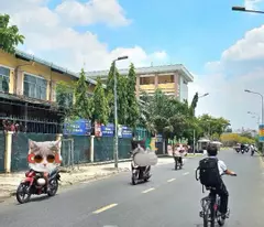 Bán nhà Mặt Tiền KD Ngay trường Tiểu học Bình Long - dtsd100m2 - 2 tầng - 5.4 tỷ(tl)
