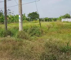 Chính chủ bán đất MT Quách Văn Tuấn,TP Tân An Không Quy Hoạch Giá tốt đầu tư Chỉ 1,25 tỷ
