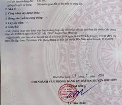 LÔ GÓC 3 MẶT TIỀN ĐÔNG THẠNH – HÀNG HIẾM HÓC MÔN