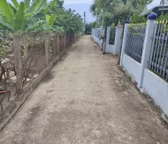 CHÍNH CHỦ CẦN BÁN GẤP VƯỜN BƯỞI ĐANG THU HOẠCH - 1000m² TẠI TÂN TRIỀU, ĐỒNG NAI