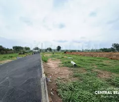 BUNG 20 NỀN ĐẤT VỪA RA SỔ NGAY TRƯỜNG TIỂU HỌC TÂN PHÚ