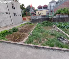 🚨 ĐẤT ĐẸP DI TRẠCH 35.5m 20m ra xe tải giá 4.x  tỷ