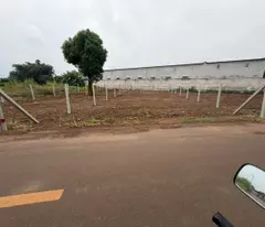 CHÍNH CHỦ CẦN BÁN GẤP 2 LÔ ĐẤT VÀNG TẠI TRUNG TÂM ĐẤT ĐỎ - BÀ RỊA VŨNG TÀU