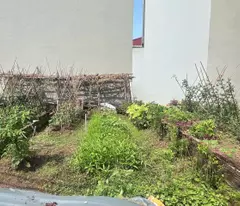 BÁN 55M² ĐẤT TRỤC CHÍNH ĐỨC THƯỢNG – 2 Ô TÔ TRÁNH – KINH DOANH ĐỈNH