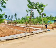 🚀 ĐÓN ĐẦU GA TOD VINSPEED, SỞ HỮU ĐẤT VÀNG SÁT VIN HẠ LONG XANH