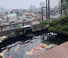 Cho Thuê Penthouse 400m2 Phố Võ Thị Sáu, Hai Bà Trưng - 5PN, Sân Vườn Bể Cá Koi, Làm VP