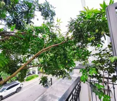 Nhà thật - Vinhome Riverside 85m gần hồ điều hòa 37 tỷ - Long Biên Hà Nội