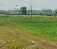 Bán đất mặt tiền đường Tân Hội , Đức Lập Thượng dt 1000m2 ( 300m2 thổ) giá 8,5 tỷ