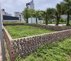 HOÀI ĐỨC, NHIỀU NGƯỜI TÌM VÂN CANH – NHƯNG KHÔNG PHẢI LÔ NÀO CŨNG ĐỨNG MẶT PHỐ