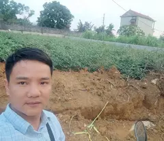 Đất Yên Bài sát đường vành đai du lịch mở rộng 20m –CHỈ 5 PHÚT RA VÀNH ĐAI 5 – SỞ HỮU NGAY 300M²
