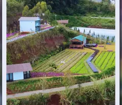 CHO THUÊ TỔ HỢP CAFE & HOMESTAY TẠI VẠN THÀNH, ĐÀ LẠT