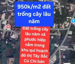 BÁN GẤP 14.250M² ĐẤT TRỒNG CÂY LÂU NĂM TẠI XÃ PHƯỚC HIỆP, HUYỆN CỦ CHI, TP HỒ CHÍ MINH - CHỈ