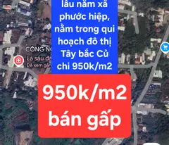 BÁN GẤP 14.250M² ĐẤT TRỒNG CÂY LÂU NĂM TẠI XÃ PHƯỚC HIỆP, HUYỆN CỦ CHI, TP HỒ CHÍ MINH - CHỈ