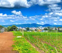 Đất hẻm pê tông 5m cos pha, liên hiệp, đức trọng cũ, lâm đồng