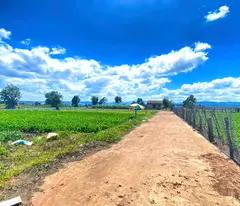 Đất hẻm pê tông 5m cos pha, liên hiệp, đức trọng cũ, lâm đồng