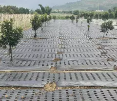Bán đất thổ vườn có cây ăn trái - đất chính chủ tại Xã D'ran, Lâm Đồng, DT 2.156m2