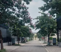 Bán Đất 250m2 Khu C - Khu đô thị Nguyên Khê - Đông Anh - Hà Nội. Giá 105tr/m2