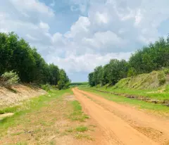 Bán 6.1 hecta đất Tân Xuân - Hàm Tân đường đất 10m giá đầu tư