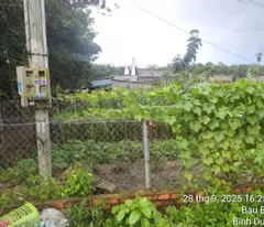 Bán Đất Chính Chủ Phường Bến Cát, TP. Hồ Chí Minh – Sổ Hồng Riêng, Giá Tốt, Mua Bán Nhanh.