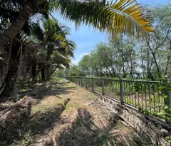 ĐẤT VEN SÔNG SOÀI RẠP LONG PHƯỚC Q9 4,8HA – MT 270M CHỈ 37,8TR/1M2