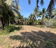ĐẤT VEN SÔNG SOÀI RẠP LONG PHƯỚC Q9 4,8HA – MT 270M CHỈ 37,8TR/1M2