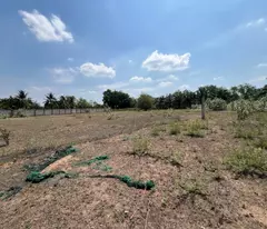 ĐẤT VEN SÔNG SOÀI RẠP LONG PHƯỚC Q9 4,8HA – MT 270M CHỈ 37,8TR/1M2