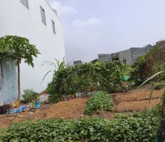 Bán đất thổ cư đường beton 4m xã Đức Hòa Đông gần cổng chào Tân Đức dt 105m2 giá 1,3 tỷ