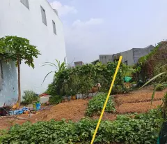 Bán đất thổ cư đường beton 4m xã Đức Hòa Đông gần cổng chào Tân Đức dt 105m2 giá 1,3 tỷ