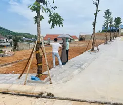 💥 CƠ HỘI SỞ HỮU ĐẤT VÀNG SÁT VIN HẠ LONG XANH, HƯỞNG TRỌN 90% TIỆN ÍCH GIÁ CHỈ 1/3