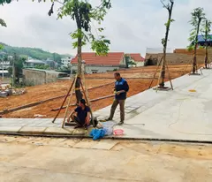 CƠ HỘI HIẾM TẠI HẠ LONG: ĐẤT MẶT TIỀN QL18 - SỔ RIÊNG TỪNG LÔ - GIÁP VIN HẠ LONG XANH