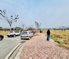 HÀNG NGỘP TÂN XÃ – 129M2 ĐẤT ĐẤU GIÁ GIÁ ĐANG RẤT MỀM