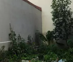 62m2 ĐẤT, LÔ GÓC SƠN ĐỒNG, KIM CHUNG, GẦN THPT HOÀI ĐỨC, TL 422, XÂY Ở MUA ĐẦU TƯ, chỉ 4.9 tỷ