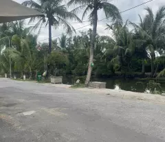 Bán đất cạnh Khu công nghiệp Tràng Duệ 3 - Hải Phòng
