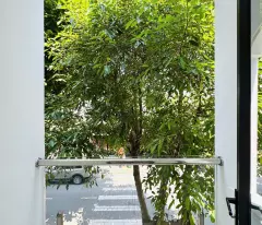 BIỆT THỰ 3 TẦNG - LÔ GÓC PHẠM HÙNG, HÒA XUÂN - 190M² – 8,7 TỶ