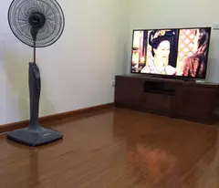 CHÍNH CHỦ CHO THUÊ CĂN HỘ ECOHOME 2N1K FULL NỘI THẤT - CHỈ HƠN 9TR