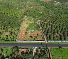BÁN VƯỜN SẦU RIÊNG DONA MẶT TIỀN ĐẸP – PHƯỜNG ĐOÀN KẾT, THỊ XÃ BUÔN HỒ, ĐẮK LẮK