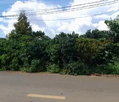 Bán gấp 3771m2 đất thổ cư tại Tân Lạc, Hòa Nam, Di Linh, Lâm Đồng. Sổ hồng riêng, giá chỉ 2.8 tỷ.