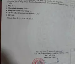 ĐẤT ĐẸP- GIÁ TỐT CHÍNH CHỦ CẦN BÁN NHANH LÔ ĐẤT tại tp Hạ Long, tỉnh Quảng Ninh