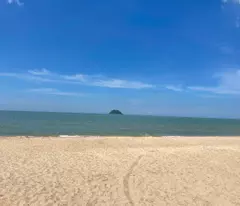 Bán 1000m2 đất gần Biển Đồi Dương - Bình Tân -LaGi chỉ 1.8 tỷ sổ riêng